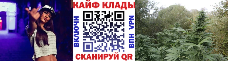 Где купить наркотики Камешково Гашиш  Канабис  КОКАИН  Меф мяу мяу 