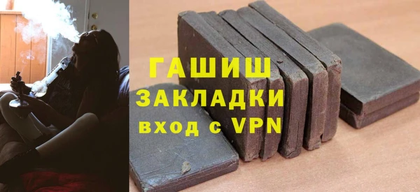 индика Алексин