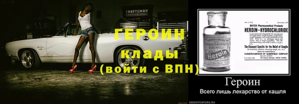 индика Алексин