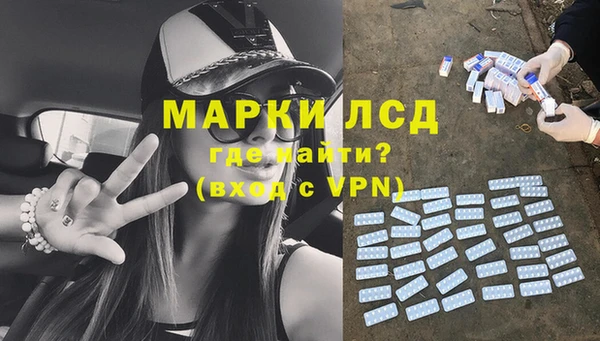 индика Алексин