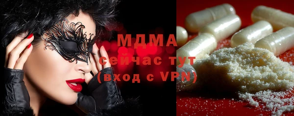 индика Алексин