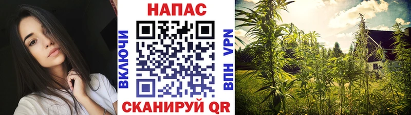 дарнет шоп  Камешково  кракен онион  Шишки марихуана LSD WEED 
